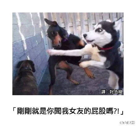 复仇者联盟最大秘密曝光|到动物园点份老龟汤 复仇者联盟最大秘密曝光|到动物园点份老龟汤