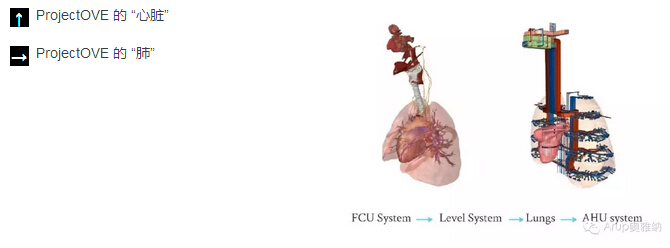 ProjectOVE: 模拟人体构造，展示BIM潜力