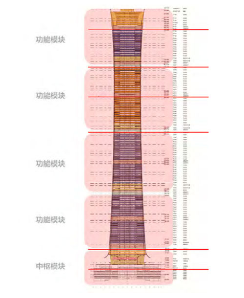 Z15中国尊BIM应用 Z15中国尊BIM应用