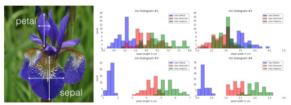 预测建模、监督机器学习和模式分类概览