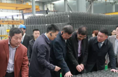 住宅产业化发展迅猛 标准欠缺成为掣肘-BIM建筑网