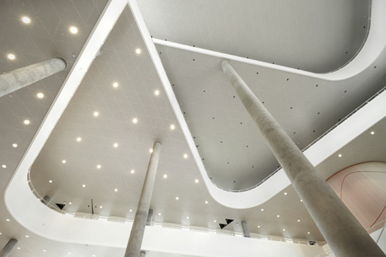 三角形的新地标 南丹麦大学科灵校区大楼