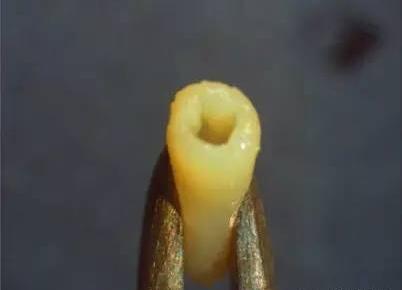 十张图看懂3D打印未来 十张图看懂3D打印未来