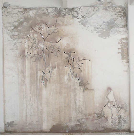 赤裸花园/Naked Garden 赤裸花园/Naked Garden