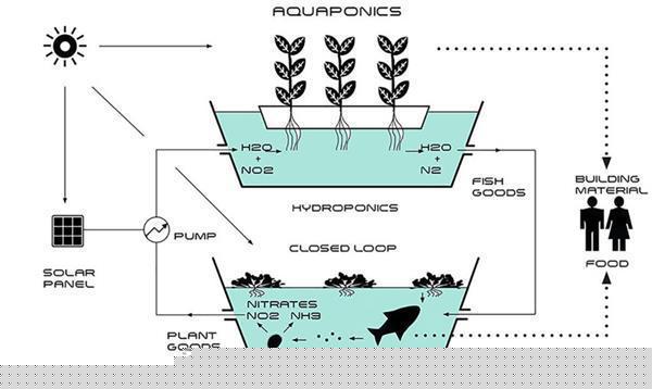 3D打印的未来住所：人、鱼、蔬菜共同生活的闭环生态系统 BIM视界 第6张