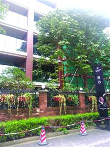 无需主动采暖就舒适的“被动房”来了 BIM视界 第1张-BIM建筑网 无需主动采暖就舒适的“被动房”来了 BIM视界 第1张