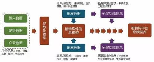 园林BIM应用探索——基于BIM的植物构件信息模型数据库 BIM视界 第3张