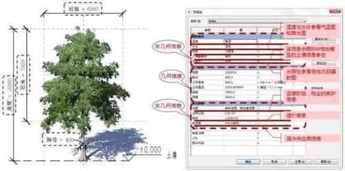 园林BIM应用探索——基于BIM的植物构件信息模型数据库 BIM视界 第4张