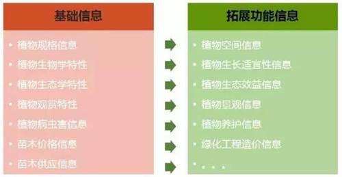 园林BIM应用探索——基于BIM的植物构件信息模型数据库 BIM视界 第5张