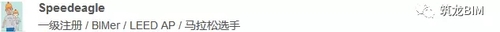 你们觉得中国BIM的这条路走对了么？他们说... BIM视界 第1张