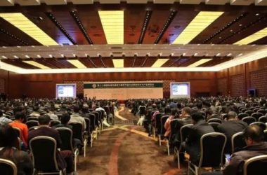 央视再发声!装配式建筑将成我国未来建筑模式!-BIM建筑网