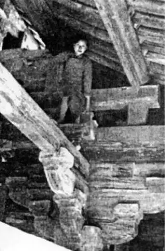 【Archicad21】当梁思成与林徽因遇上ARCHICAD BIM视界 第4张