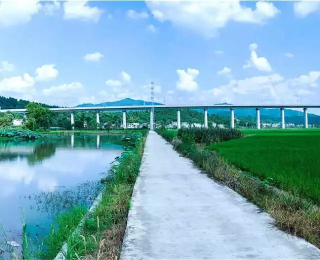 【BIM应用】BIM助力西成客专，天堑变通途 BIM视界 第3张