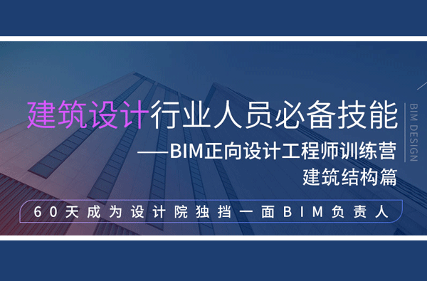 Revit建筑设计能力提升培训教程/Revit族制作教程/中级BIM培训视频教程