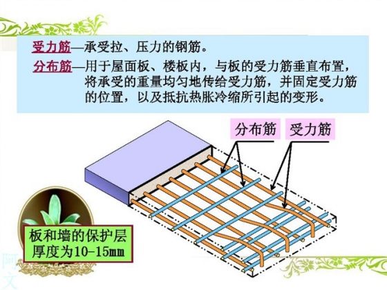 干工程看不懂钢筋配筋图,这太可怕了 BIM百科 第7张-BIM建筑网 干工程看不懂钢筋配筋图,这太可怕了 BIM百科 第7张
