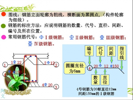 干工程看不懂钢筋配筋图,这太可怕了 BIM百科 第14张-BIM建筑网 干工程看不懂钢筋配筋图,这太可怕了 BIM百科 第14张