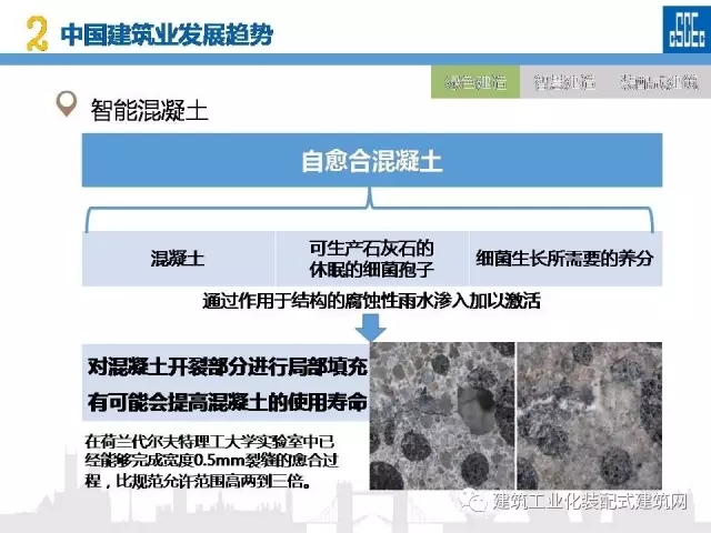 装配式|蒋立红:科技创新驱动企业转型升级 装配式资讯 第30张-BIM建筑网 装配式|蒋立红:科技创新驱动企业转型升级 装配式资讯 第30张