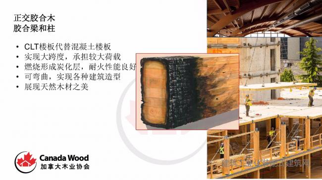 装配式|Paul Newman:木结构技术在装配式建筑中的应用潜力 装配式技术 第12张-BIM建筑网 装配式|Paul Newman:木结构技术在装配式建筑中的应用潜力 装配式技术 第12张