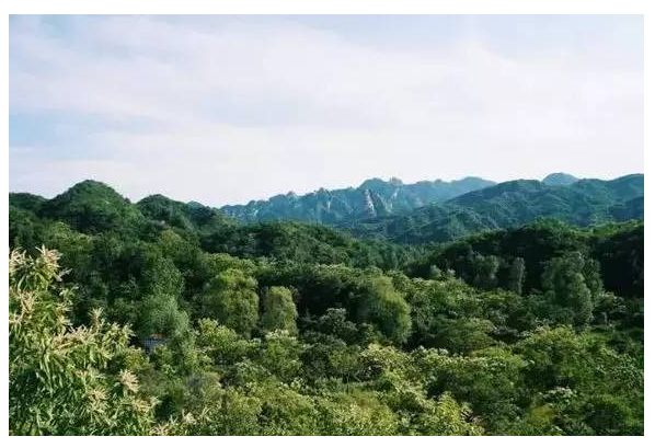 装配式|四个老男孩租下2500亩山谷 用集装箱搭出桃花源地  装配式|四个老男孩租下2500亩山谷 用集装箱搭出桃花源地