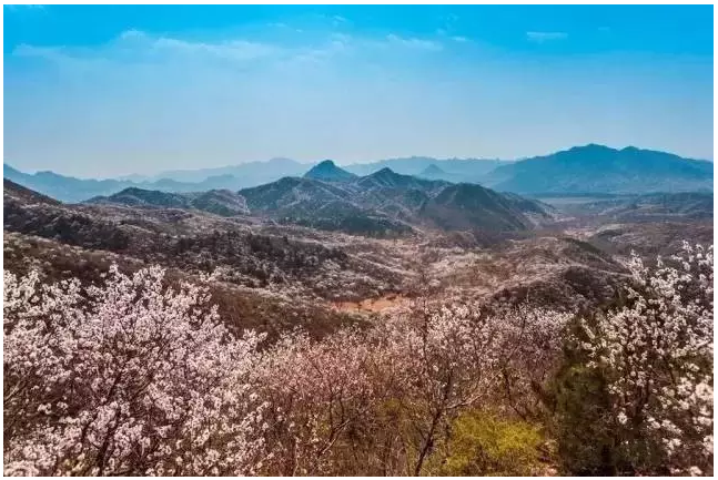 装配式|四个老男孩租下2500亩山谷 用集装箱搭出桃花源地  装配式|四个老男孩租下2500亩山谷 用集装箱搭出桃花源地