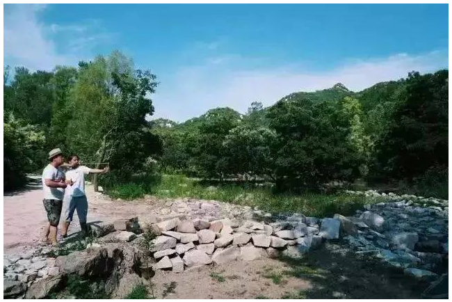 装配式|四个老男孩租下2500亩山谷 用集装箱搭出桃花源地  装配式|四个老男孩租下2500亩山谷 用集装箱搭出桃花源地