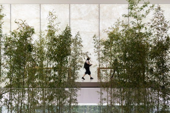 BIM|福斯特公开在澳门设计的苹果店 BIM|福斯特公开在澳门设计的苹果店
