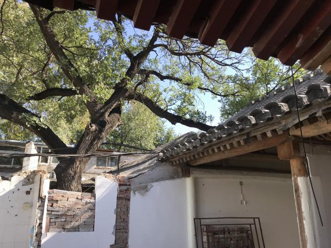 BIM建筑|“胡同智造”——四合院改革设计的实践 BIM建筑|“胡同智造”——四合院改革设计的实践