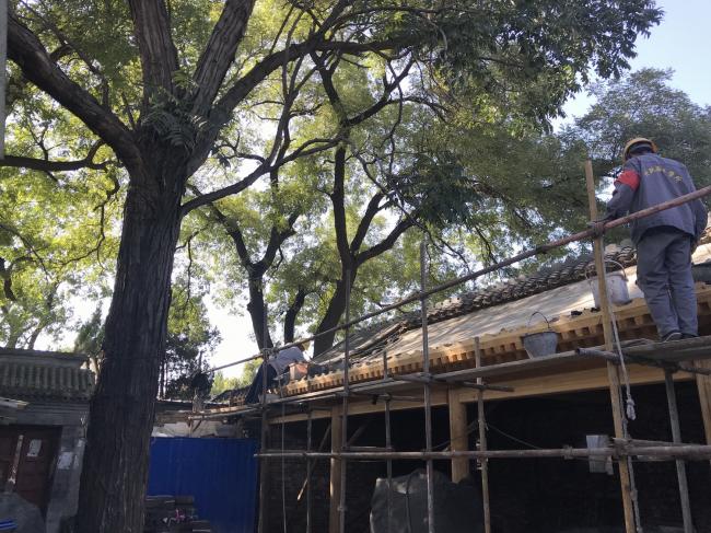 BIM建筑|“胡同智造”——四合院改革设计的实践 BIM建筑|“胡同智造”——四合院改革设计的实践