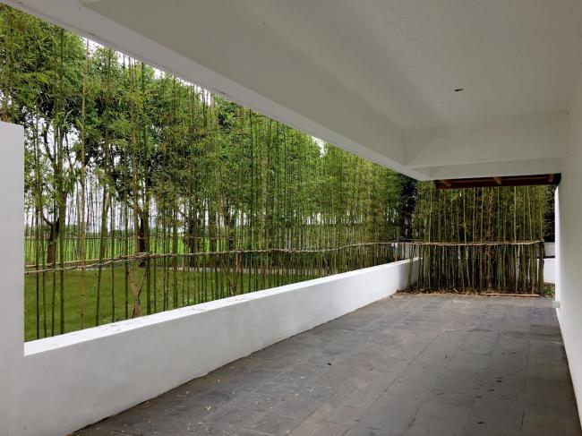 BIM建筑|从雕塑到花圃——江苏昆山计家墩村平易近中间改革 BIM建筑|从雕塑到花圃——江苏昆山计家墩村平易近中间改革