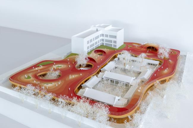 BIM建筑|MAD为北京四合院设计漂浮屋顶幼儿园,孩子们可以“上房揭瓦”啦 BIM建筑|MAD为北京四合院设计漂浮屋顶幼儿园,孩子们可以“上房揭瓦”啦