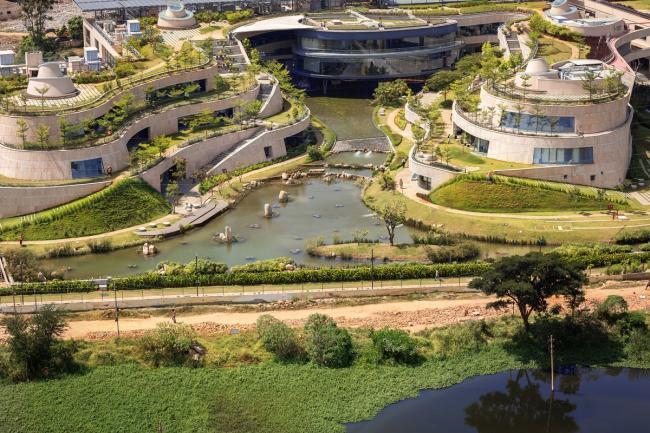 BIM建筑|仿若身处绿色稻田办公,科技彰显天然气力的泰坦办公中间 BIM建筑|仿若身处绿色稻田办公,科技彰显天然气力的泰坦办公中间