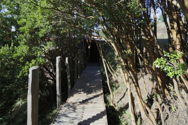 BIM建筑|逃离都会,来一次密林山野的得闲时间:卡斯特罗酒店度假村 BIM建筑|逃离都会,来一次密林山野的得闲时间:卡斯特罗酒店度假村
