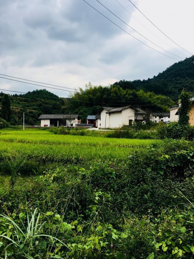 BIM建筑|栖于山麓——乡建新平易近居摸索 | 铭鼎空间艺术工作室 BIM建筑|栖于山麓——乡建新平易近居摸索 | 铭鼎空间艺术工作室