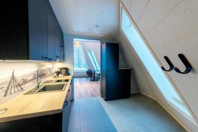 BIM建筑|纵享皑皑白雪与极光星空:芬兰度假板屋酒店 BIM建筑|纵享皑皑白雪与极光星空:芬兰度假板屋酒店