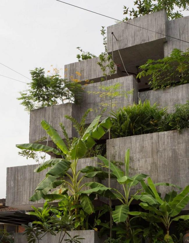 BIM建筑|马来西亚植物盒室第 / Formzero BIM建筑|马来西亚植物盒室第 / Formzero