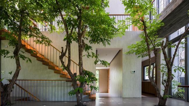 BIM建筑|像植物一样光合感化——盛满阳光与绿意的越南公园室第 BIM建筑|像植物一样光合感化——盛满阳光与绿意的越南公园室第