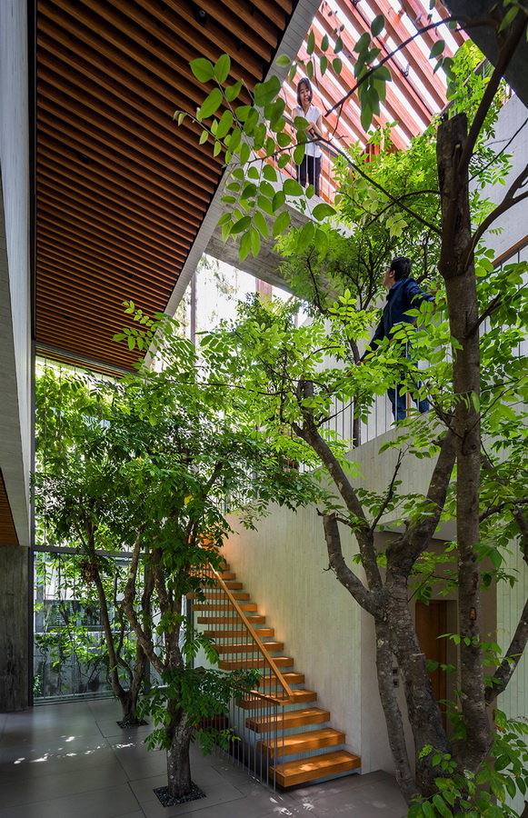 BIM建筑|像植物一样光合感化——盛满阳光与绿意的越南公园室第 BIM建筑|像植物一样光合感化——盛满阳光与绿意的越南公园室第