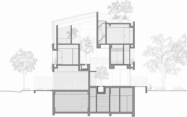 BIM建筑|像植物一样光合感化——盛满阳光与绿意的越南公园室第 BIM建筑|像植物一样光合感化——盛满阳光与绿意的越南公园室第