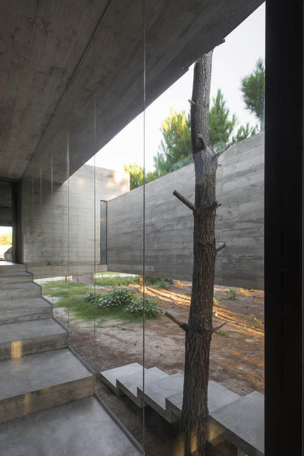 BIM建筑|S+J室第 BIM建筑|S+J室第