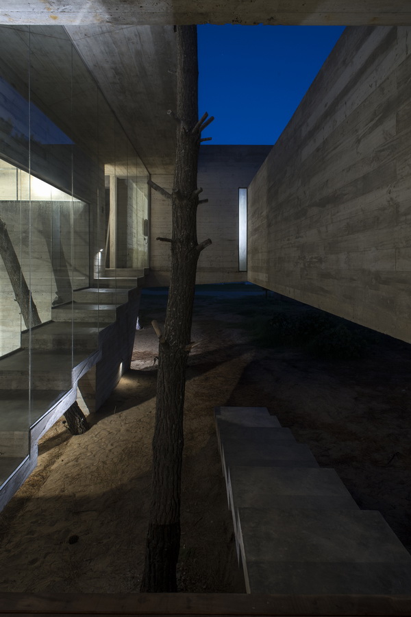 BIM建筑|S+J室第 BIM建筑|S+J室第