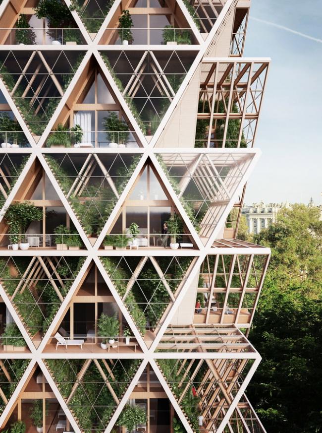 BIM建筑|重返男耕女织的田园生涯:用三角形木模块搭建的垂直农场 BIM建筑|重返男耕女织的田园生涯:用三角形木模块搭建的垂直农场