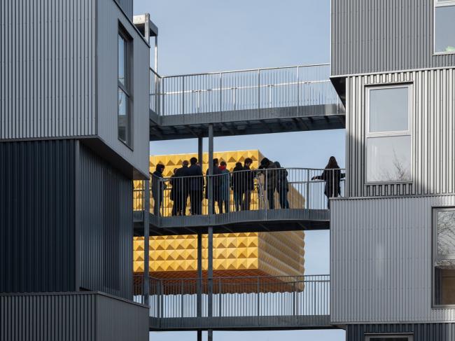 BIM建筑|丹麦罗斯基勒音乐黉舍 / MVRDV + COBE BIM建筑|丹麦罗斯基勒音乐黉舍 / MVRDV + COBE