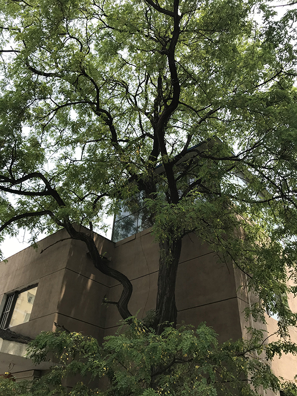 BIM建筑|城市里的城市,花圃里的花圃:10 palace l 元秀万建筑事务所 BIM建筑|城市里的城市,花圃里的花圃:10 palace l 元秀万建筑事务所