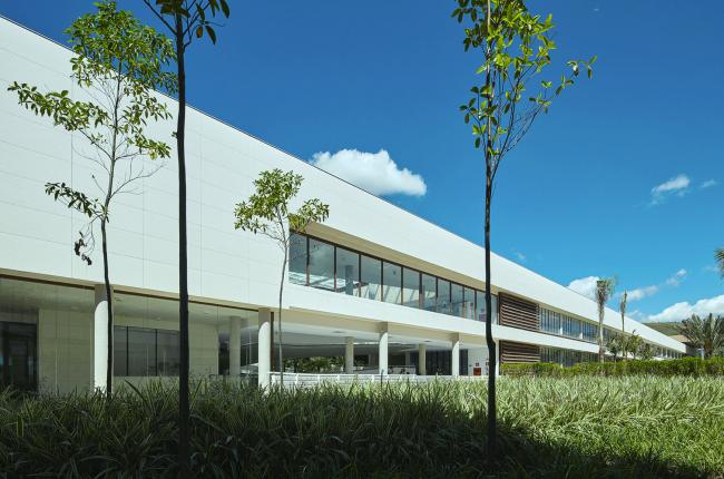 BIM建筑|优雅如天鹅展翅:巴西Roberto Herbster Gusmão黉舍 BIM建筑|优雅如天鹅展翅:巴西Roberto Herbster Gusmão黉舍