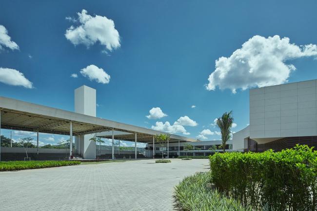 BIM建筑|优雅如天鹅展翅:巴西Roberto Herbster Gusmão黉舍 BIM建筑|优雅如天鹅展翅:巴西Roberto Herbster Gusmão黉舍
