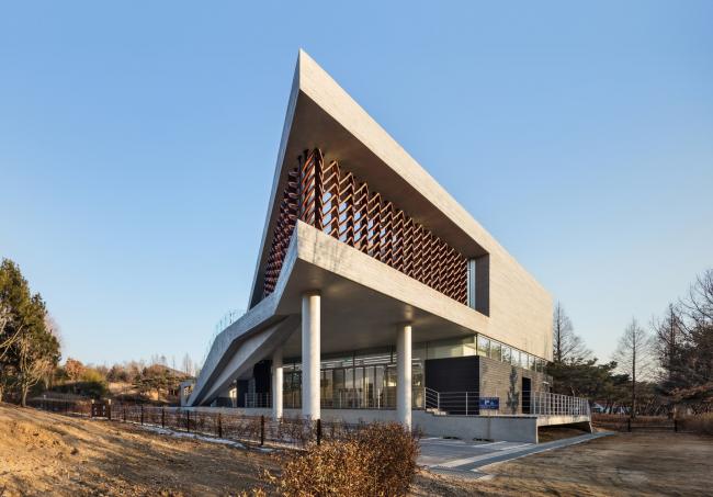 BIM建筑|光影斑驳,影随风动:韩国木材博物馆 BIM建筑|光影斑驳,影随风动:韩国木材博物馆