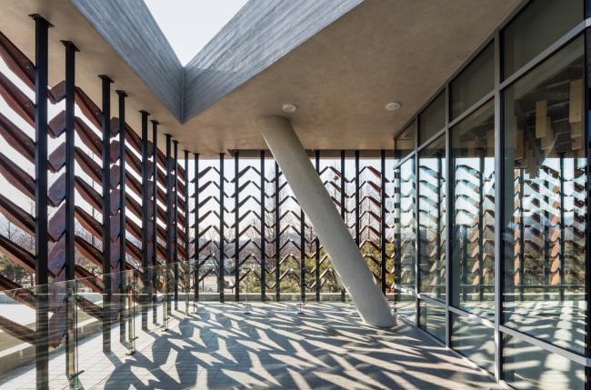 BIM建筑|光影斑驳,影随风动:韩国木材博物馆 BIM建筑|光影斑驳,影随风动:韩国木材博物馆