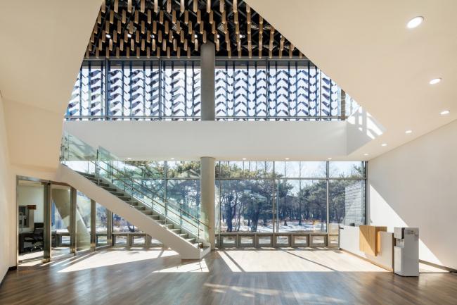 BIM建筑|光影斑驳,影随风动:韩国木材博物馆 BIM建筑|光影斑驳,影随风动:韩国木材博物馆