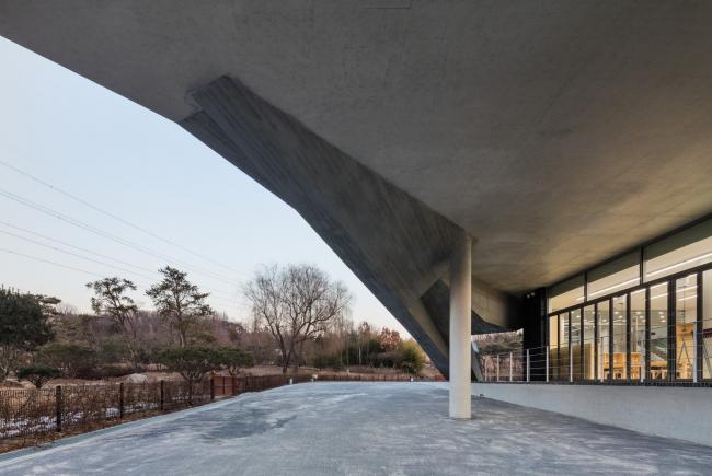 BIM建筑|光影斑驳,影随风动:韩国木材博物馆 BIM建筑|光影斑驳,影随风动:韩国木材博物馆