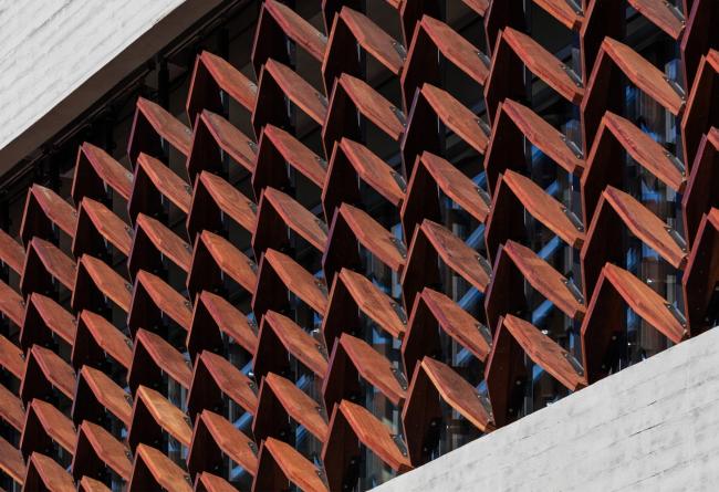 BIM建筑|光影斑驳,影随风动:韩国木材博物馆 BIM建筑|光影斑驳,影随风动:韩国木材博物馆